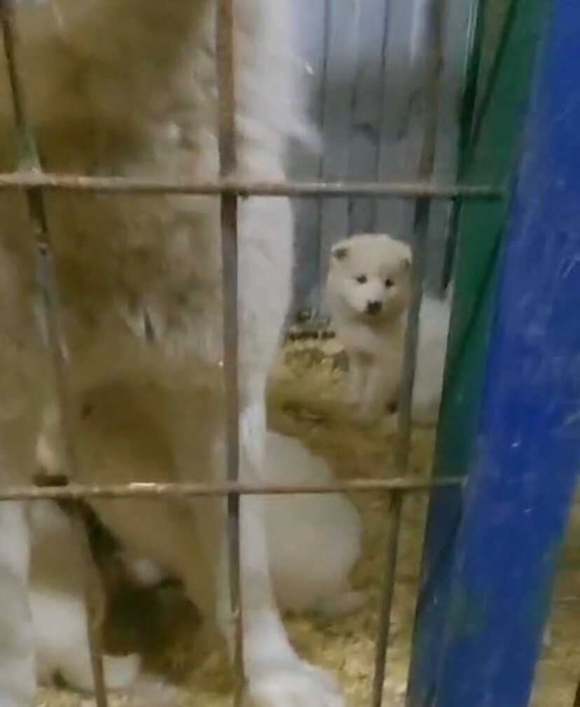 Вот за что???