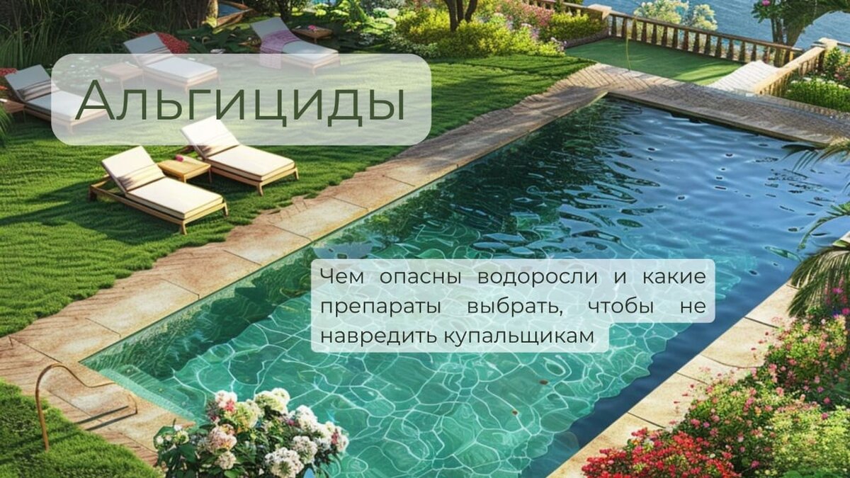 Вода в бассейне позеленела, что делать