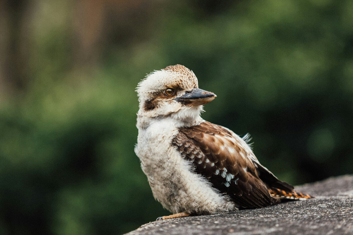 Картинка с бесплатного фотостока https://unsplash.com, автор Anima Visual