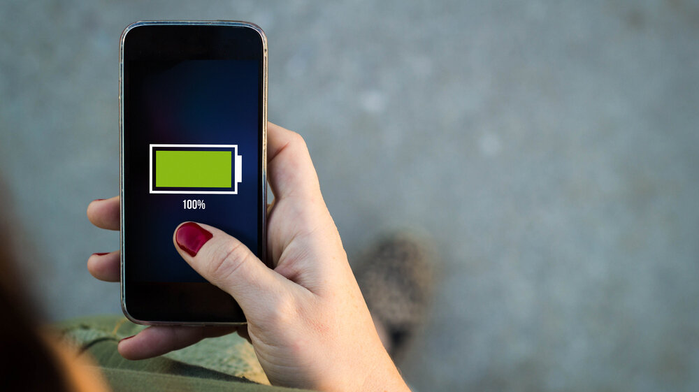    Фото: Shutterstock.com