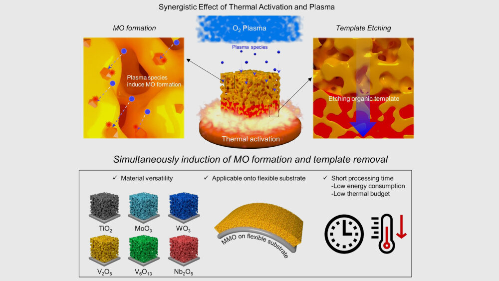    Фото: Pohang University of Science and Technology