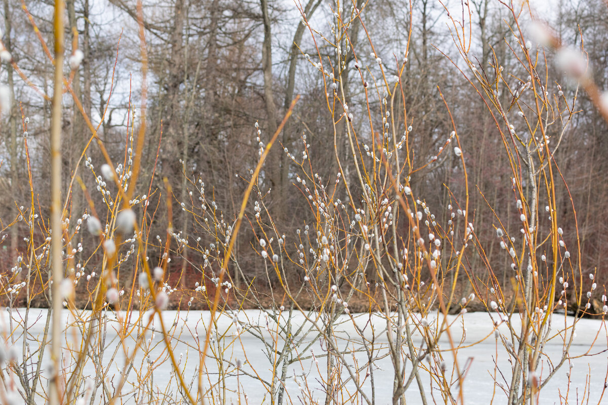 Совсем по-весеннему 