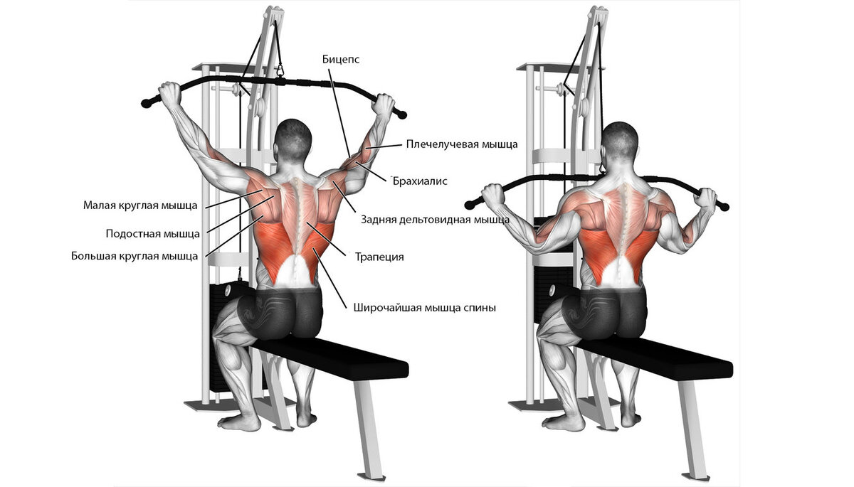 Силовые показатели жим лёжа. План тренировок становой тяги на силу. Таблица муравьева жим лежа. Становая тяга схема тренировок. Становая тяга со штангой.