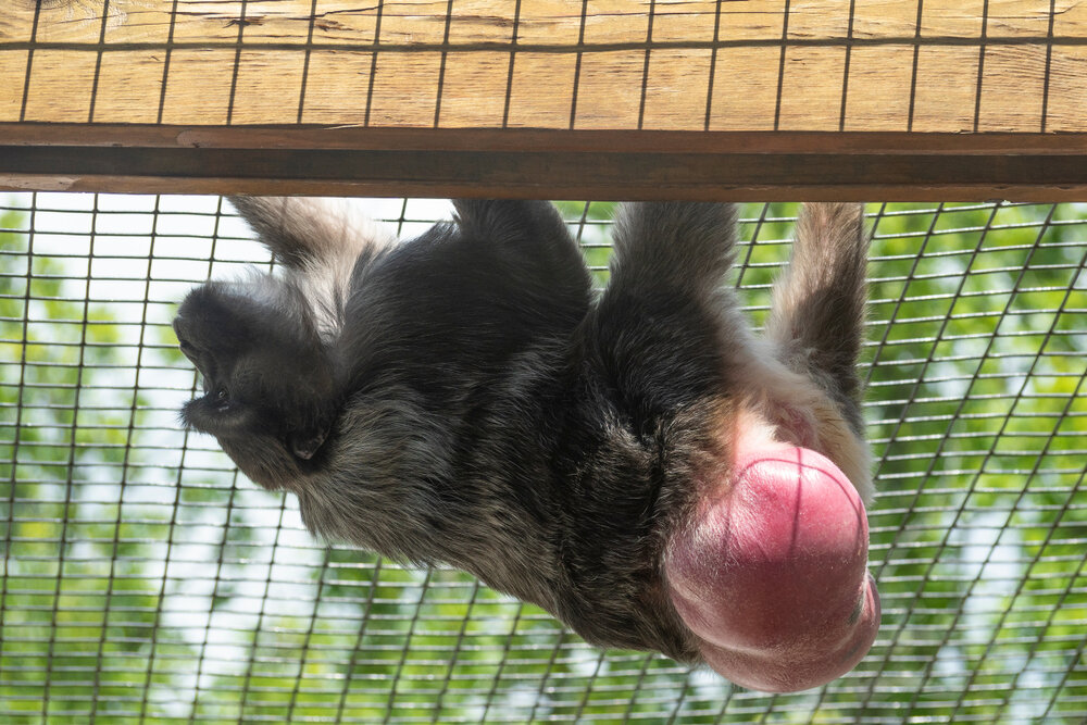 Фото: Shutterstock.com