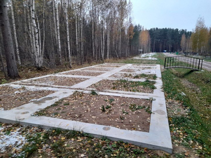 Пока все дружно удивляются небывалой поддержке россиян действующего президента на прошедших выборах, а власть заявляет, что скоро "жить станет лучше, жить станет веселее", в Ленинградской области...-3