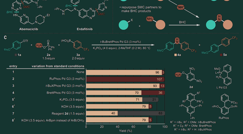   Polpum Onnuch et al. / Science, 2024