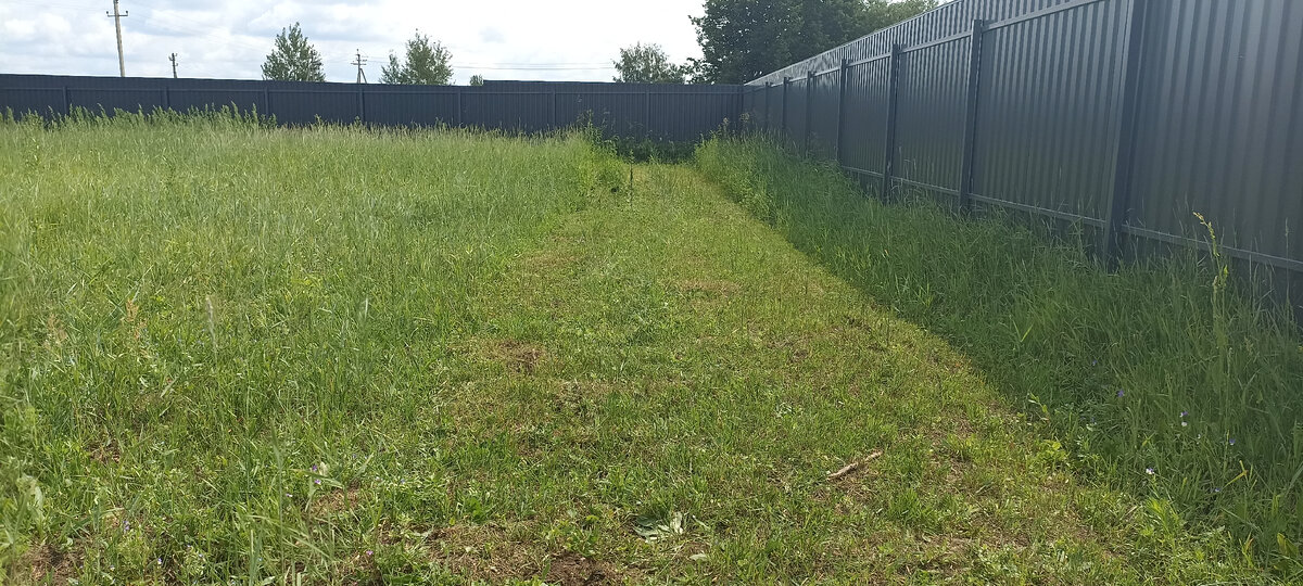 И это не самый низкий уровень стрижки