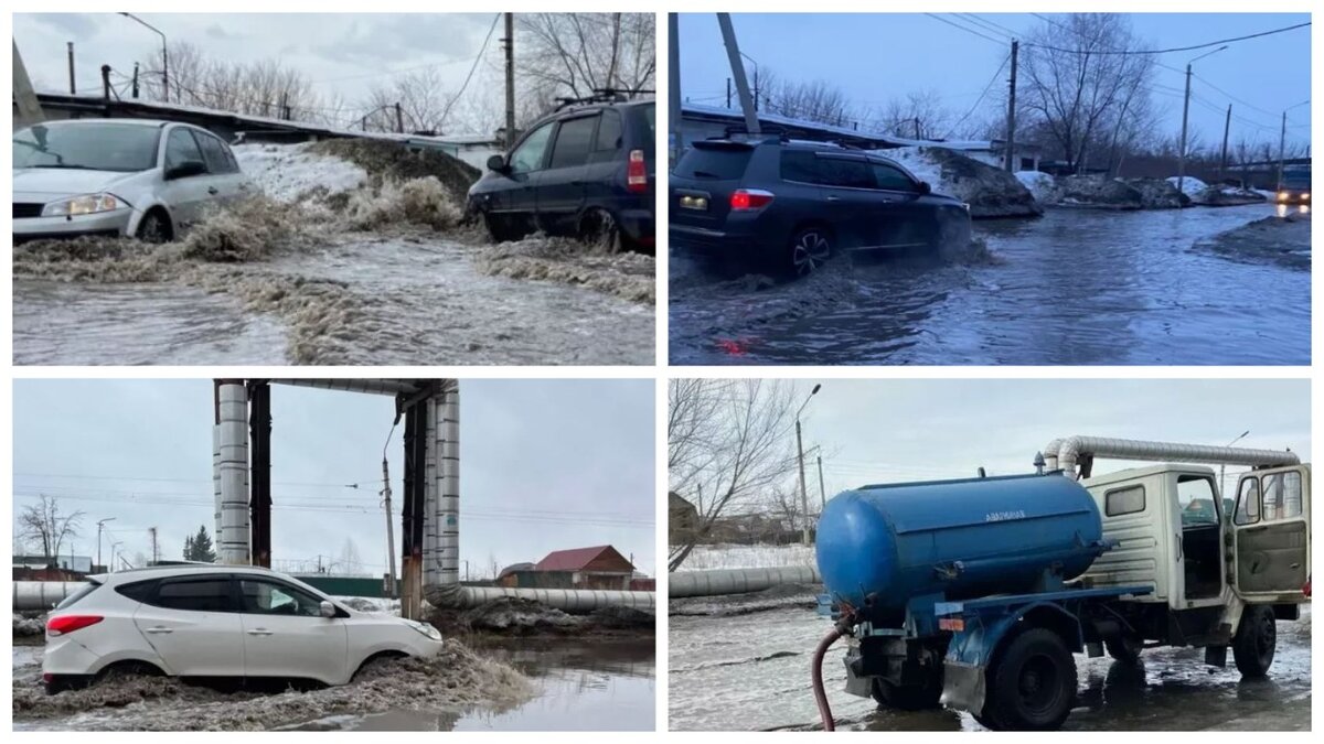 коллаж энциклопедия алтая