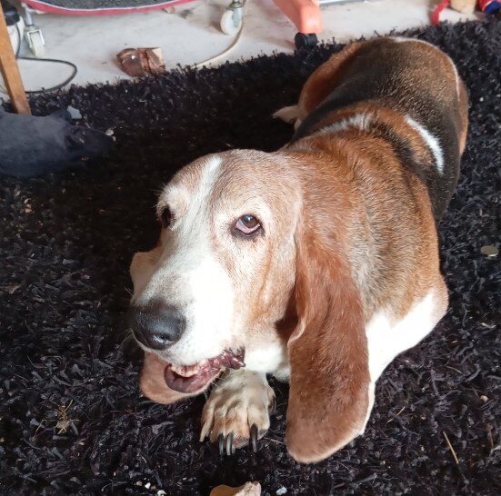 К сожалению не всё написанное вымысел.