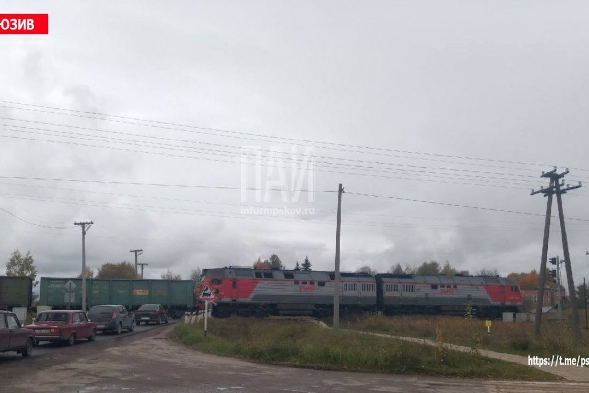    В Дедовичах проводится проверка по факту травмирования мужчины поездом