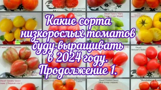 Лунный календарь садовода и огородника 2022. Томат хурма рассада. Посев томатов на рассаду в марте 2022. Календарь посевной 2022г для садовода и огородника. Интересные факты о томатах.