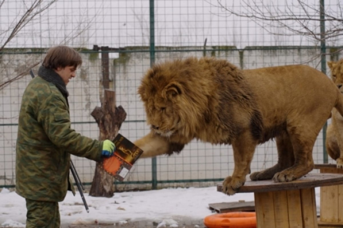    Книги с автографом льва станут призом на СВОП-фестивале в Волгограде