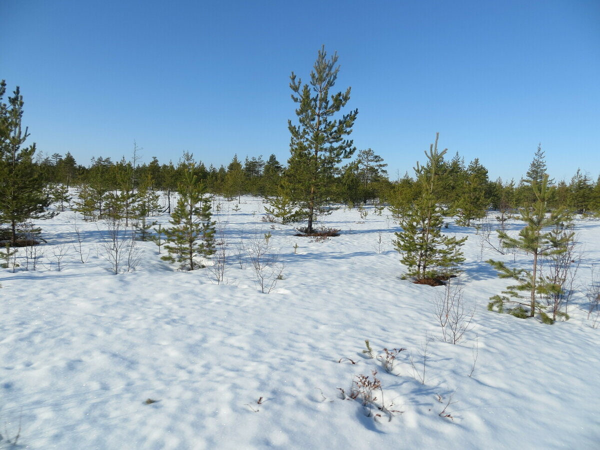    Авторское фото
