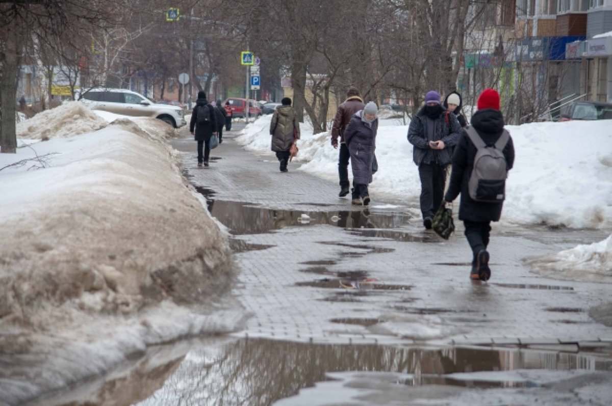    20 марта в Туле прогнозируют облачную погоду и до +5
