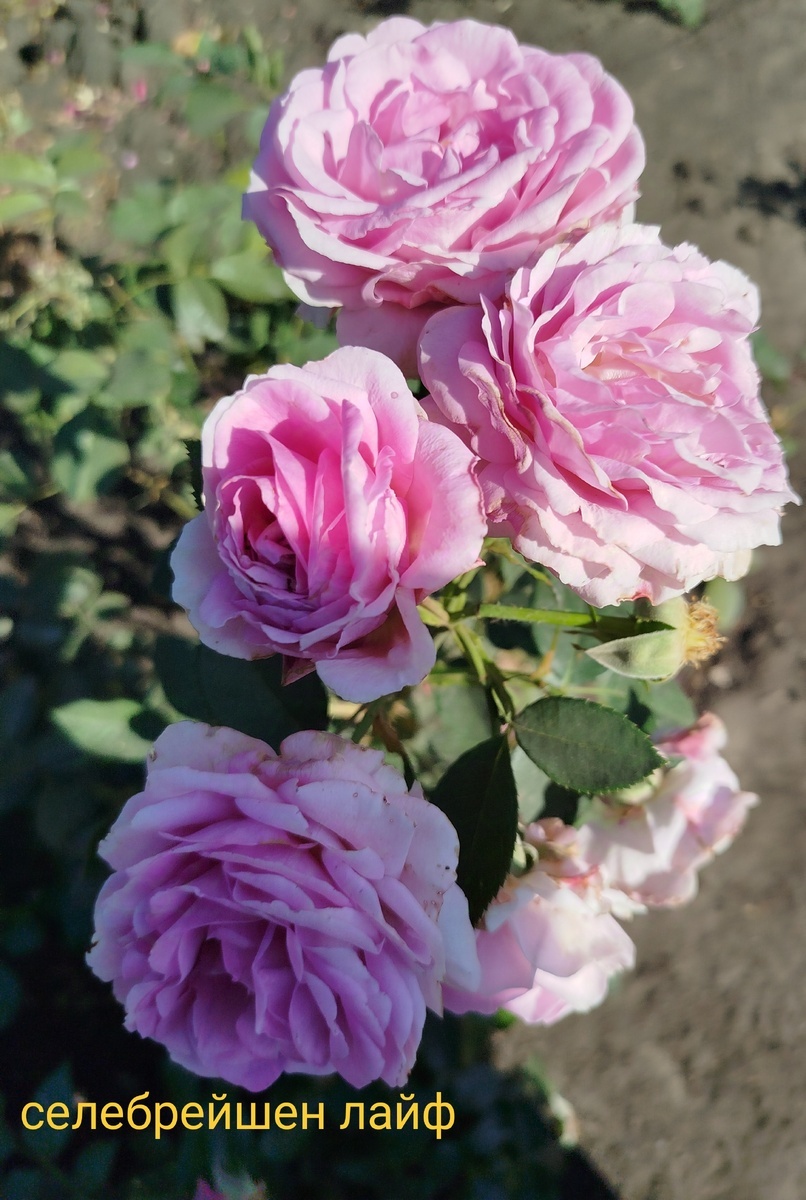 фото Натальи