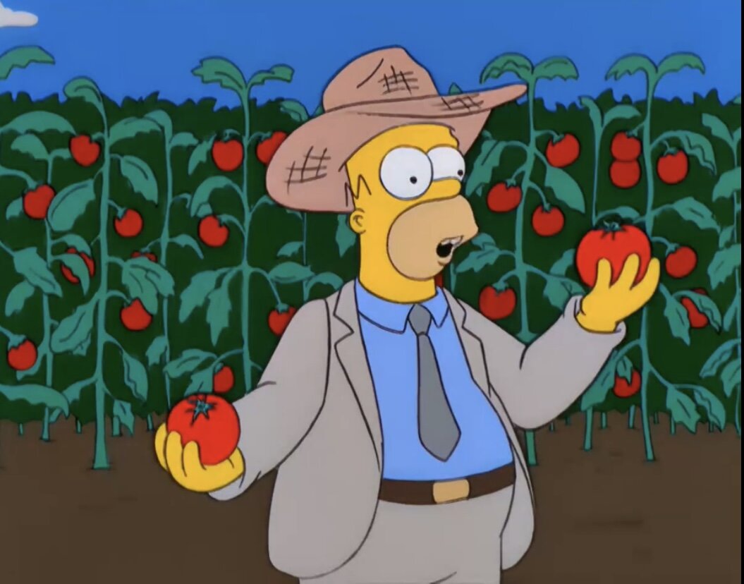 Гомер со своим детищем «Томак»