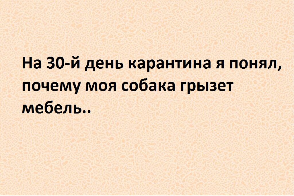 ���������� 3.0 + Paint