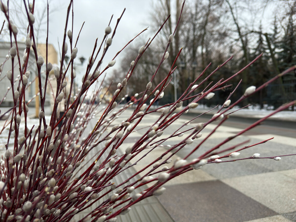 правилоповедения на природе. народные приметы что нельзя делать. памятка охрана растений. знак нельзя разводить костер. что нельзя делать в марте.