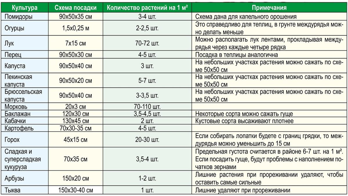 саженцы р9 хвойные. сколько нужно посадить. сколько нужно посадить. схема посадки яблонь. сколько нужно посадить.