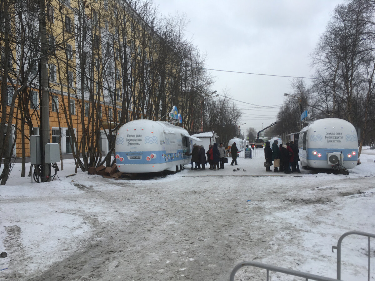 Почём рыба по ценам правительства Мурманской области для нас, простого  люда. Сколько потратила на рыбной ярмарке | Счастливая Лена и любимые  Читатели🥰 | Дзен