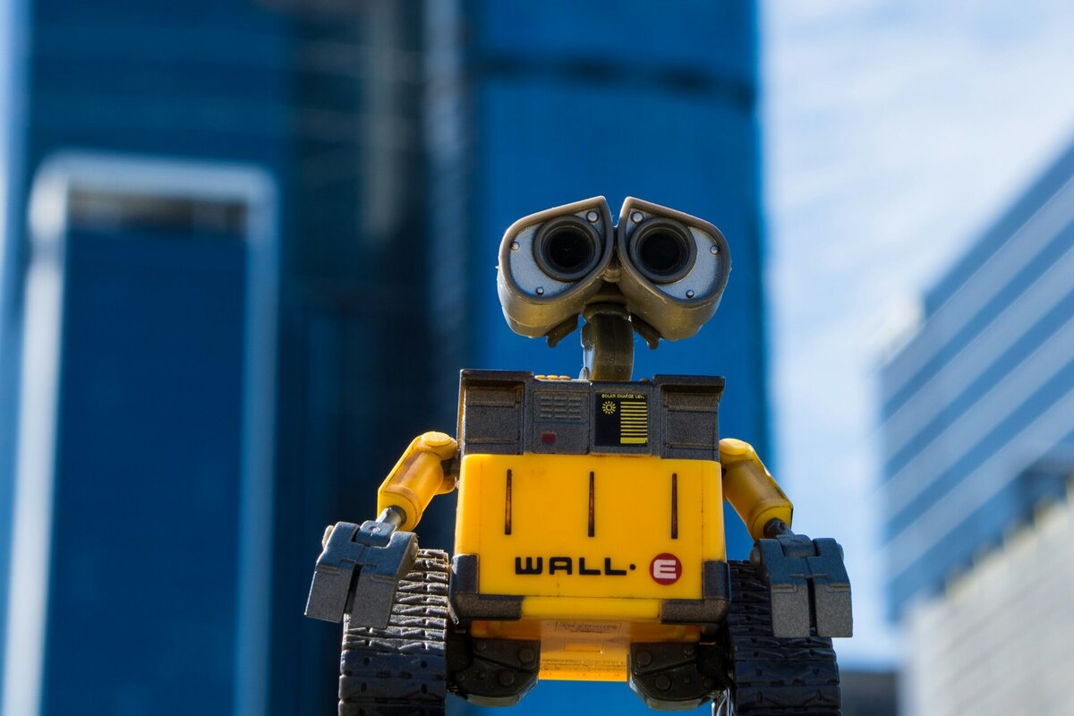     Почему сложно расставаться с детскими игрушками и что любимые фильмы могут сказать о человеке: главные новости сегодня