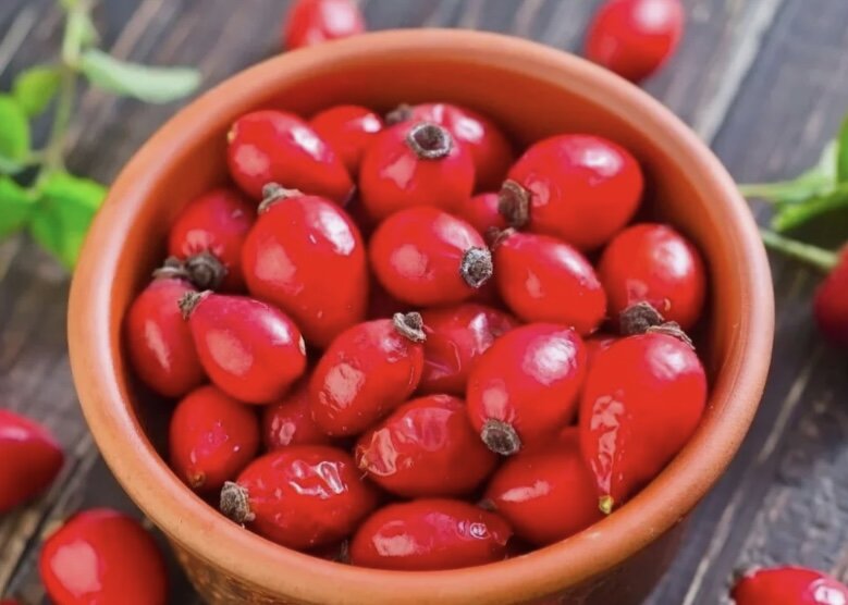 Плоды шиповника (Fructus Rosae)