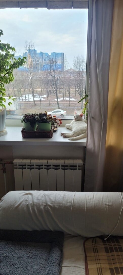 -1-3