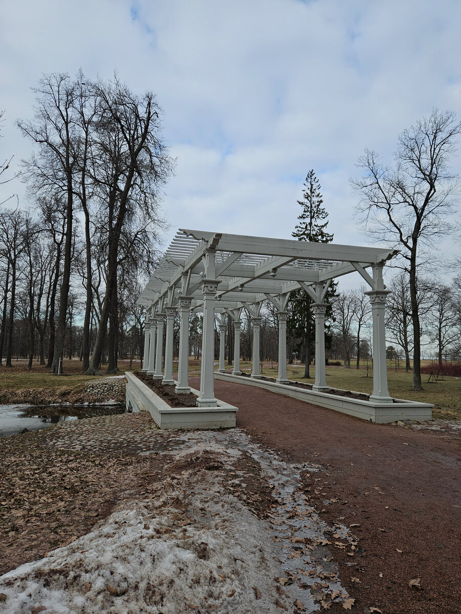 Петербург бесплатный. Петергофский парк Александрия в марте. Прогулка |  Разумная экономия | Дзен