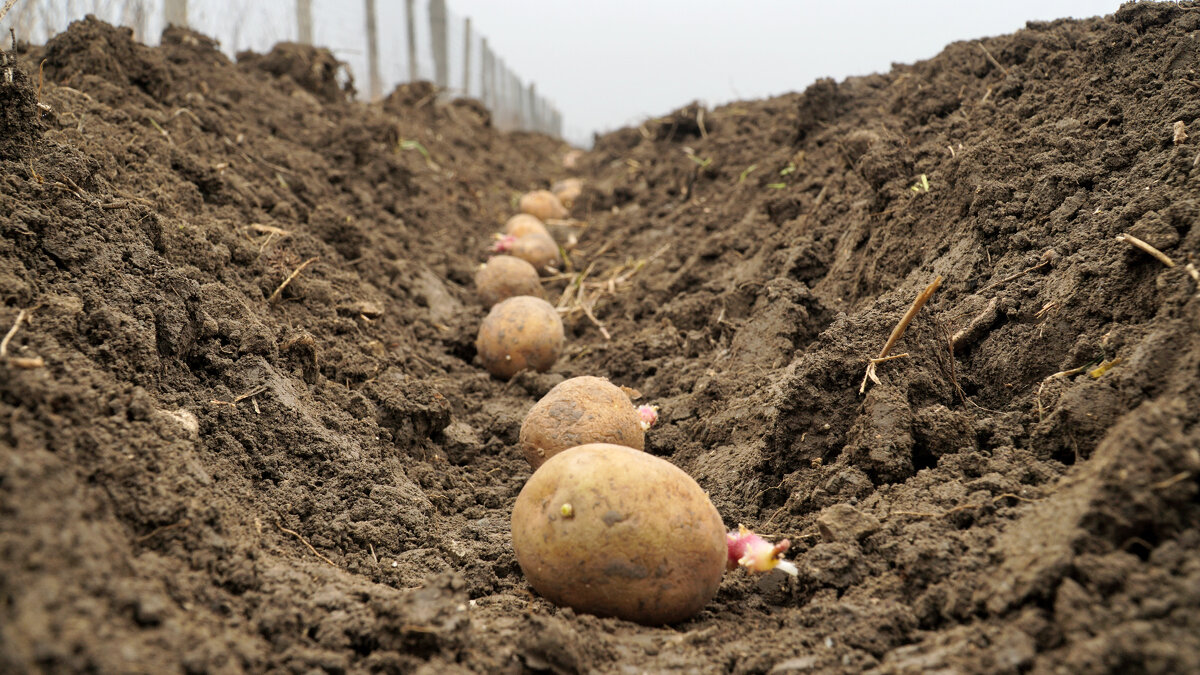 Фото открытых источников