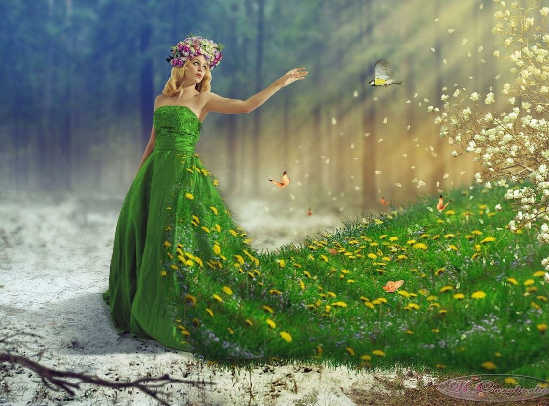 Картинка из интернета