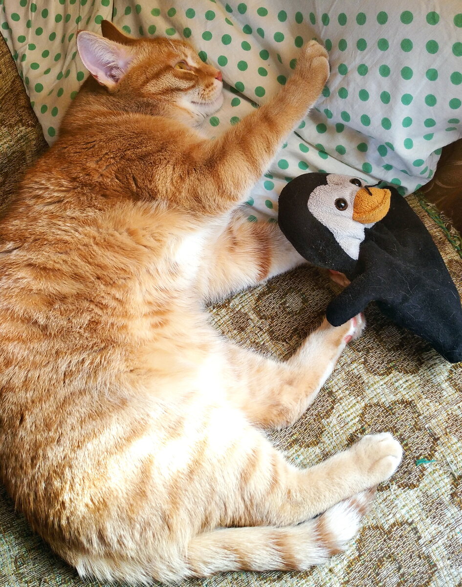 Личное  фото.