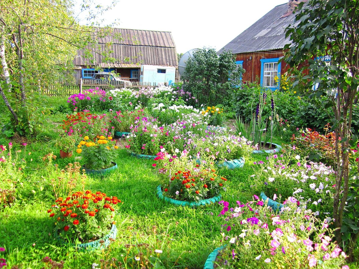 Треугольник Муж-Жена-Теща. У меня теща ассоциируется с дачей. А у вас? Источник: Яндекс Картинки.