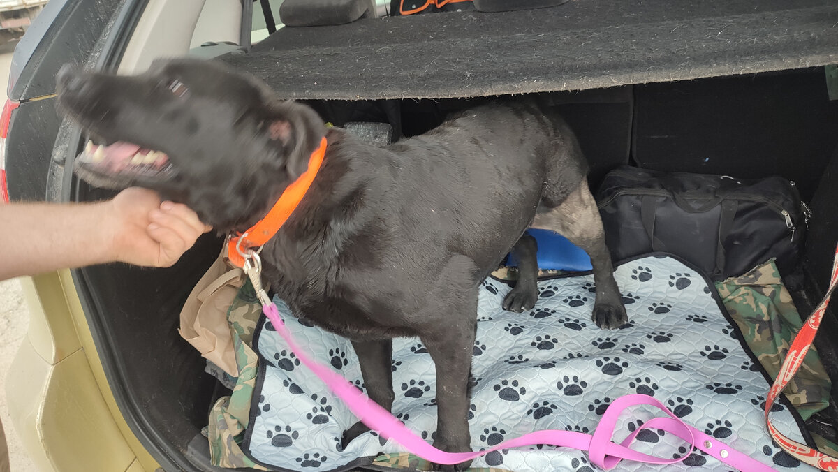 Папа, пока... Я поехала 👋