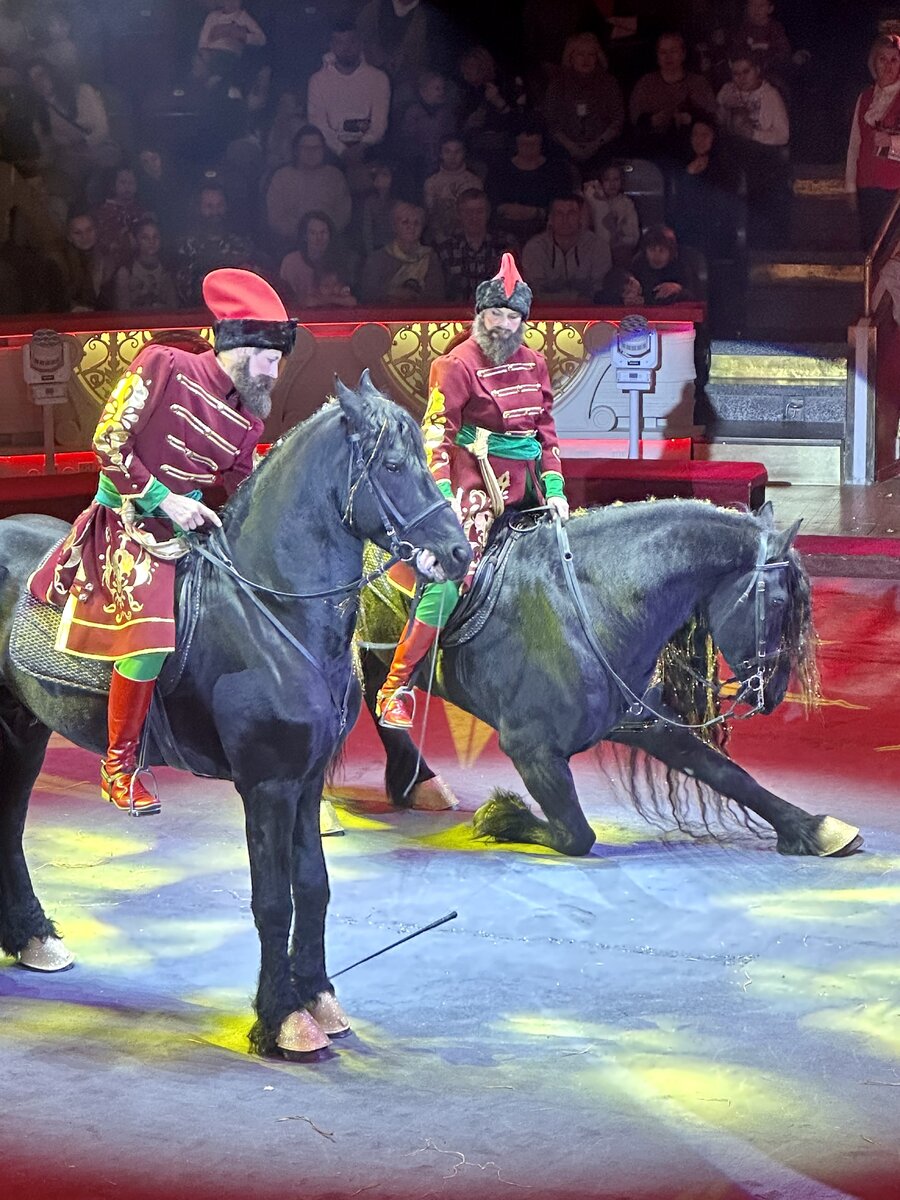 В цирке. Фото автора.
