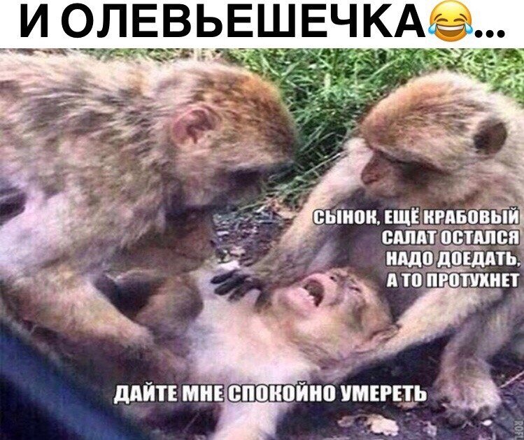 Жалко же выбросить!