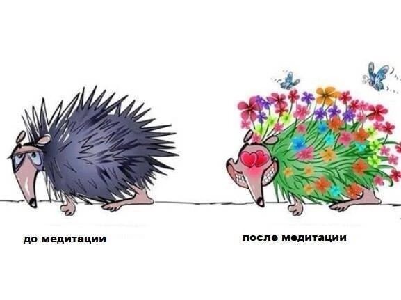 Вот примерно и я так... 