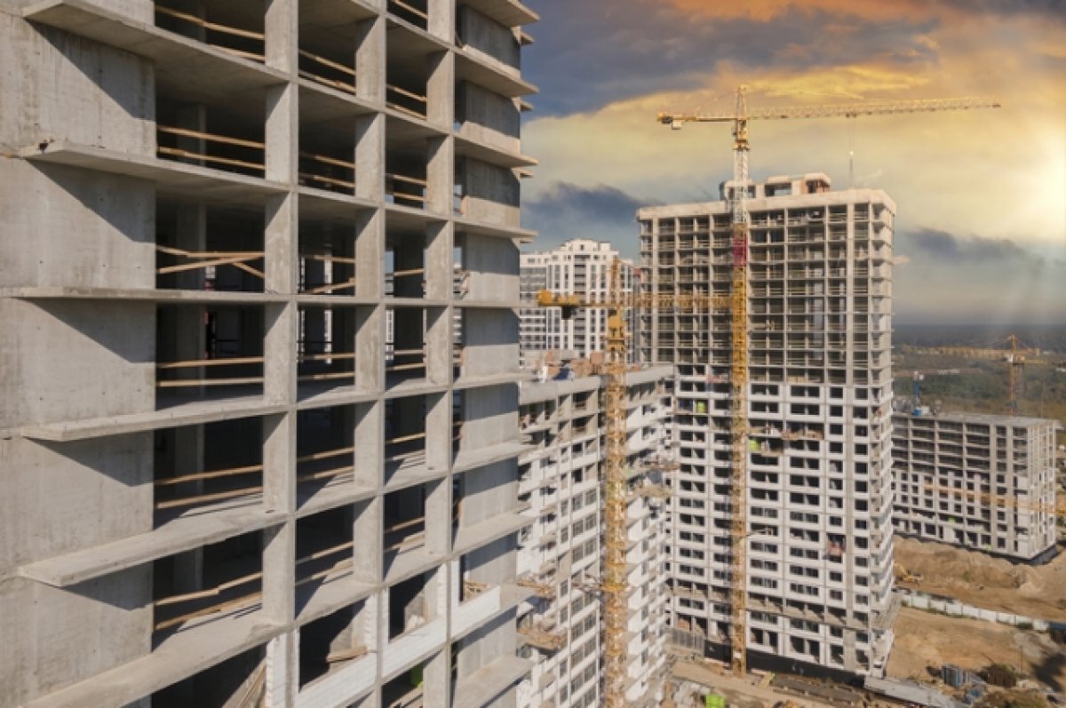    Сроки и риски.