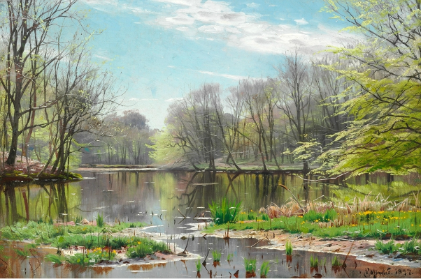 Источник  изображения : triptonkosti.ru и Яндекс картинка.