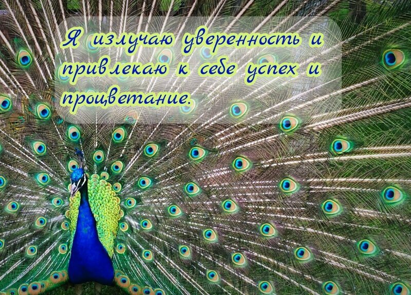 Аффирмации Луизы Хэй на уверенность в себе
