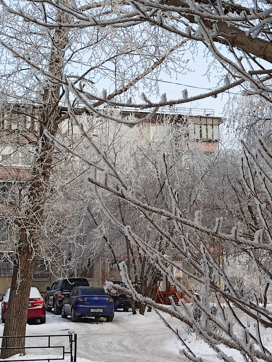 Омск днём