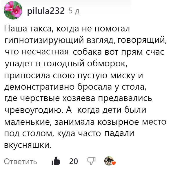 День шоколада Прикольные стихи для сладкоежки