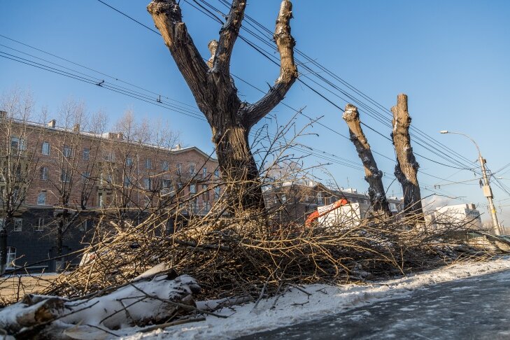    Фото Андрея Заржецкого