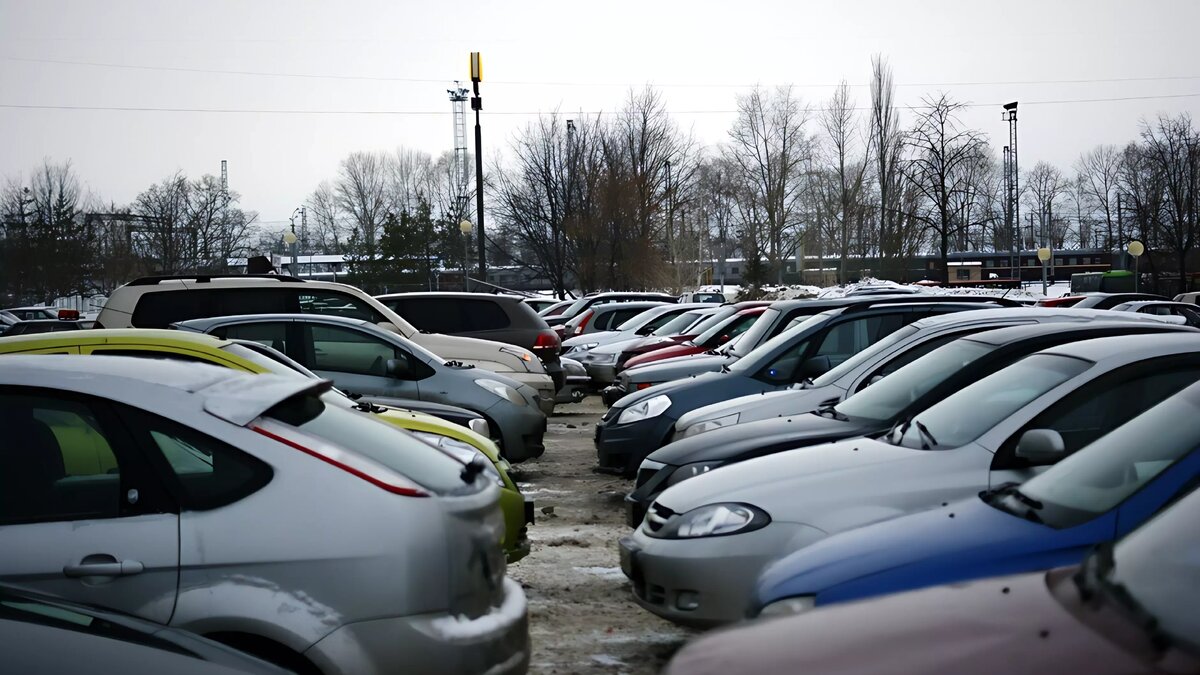     Прокуратура Владивостока начала принимать меры по освобождению земельных участков авторынка «Зеленый угол». Выяснилось, что огромные площади были заняты незаконно.