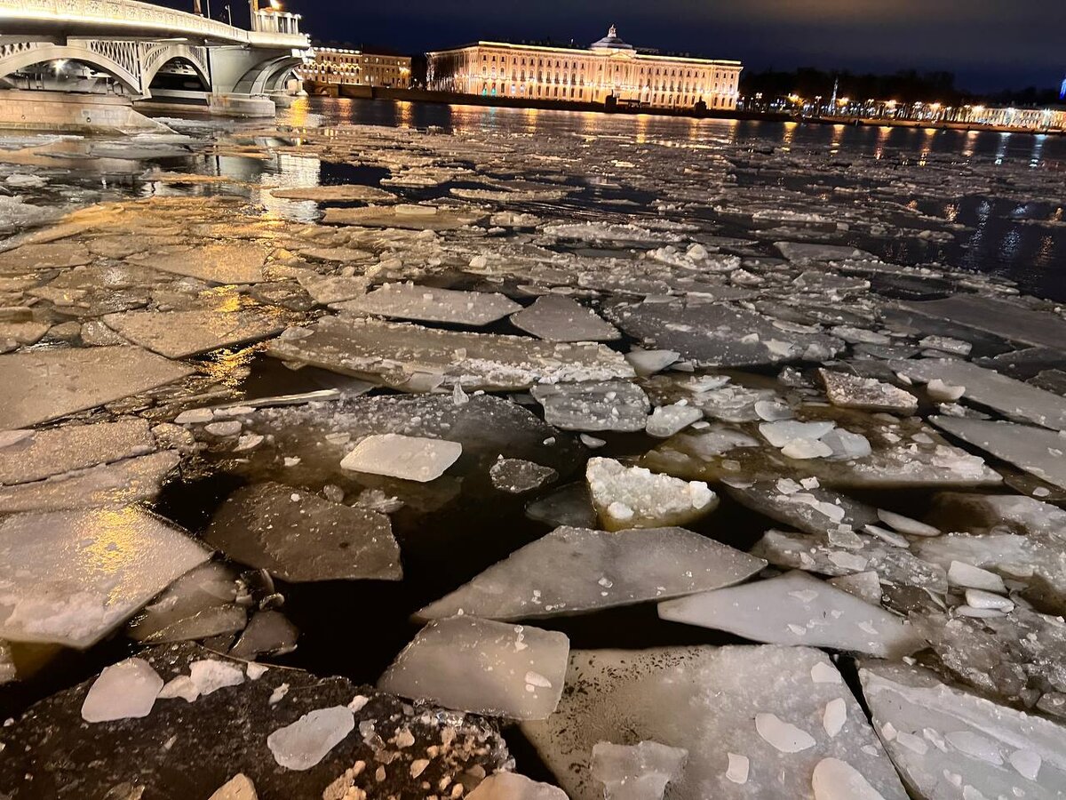 Фото: Елизавета Королева/Царьград