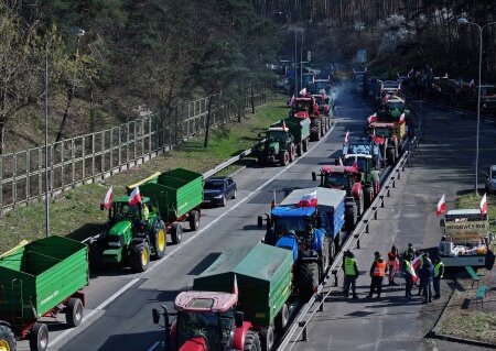    Евродепутаты продлили отмену пошлин на украинское продовольствие до лета 2025 года. Что скажут европейские фермеры?