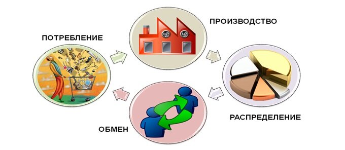 Природные ресурсы, производство необходимых для жизнедеятельности общества продуктов труда, распределение продуктов производства -, предметов труда, обмен и потребление - этот круговорот обеспечивает экономическую жизнь общества.