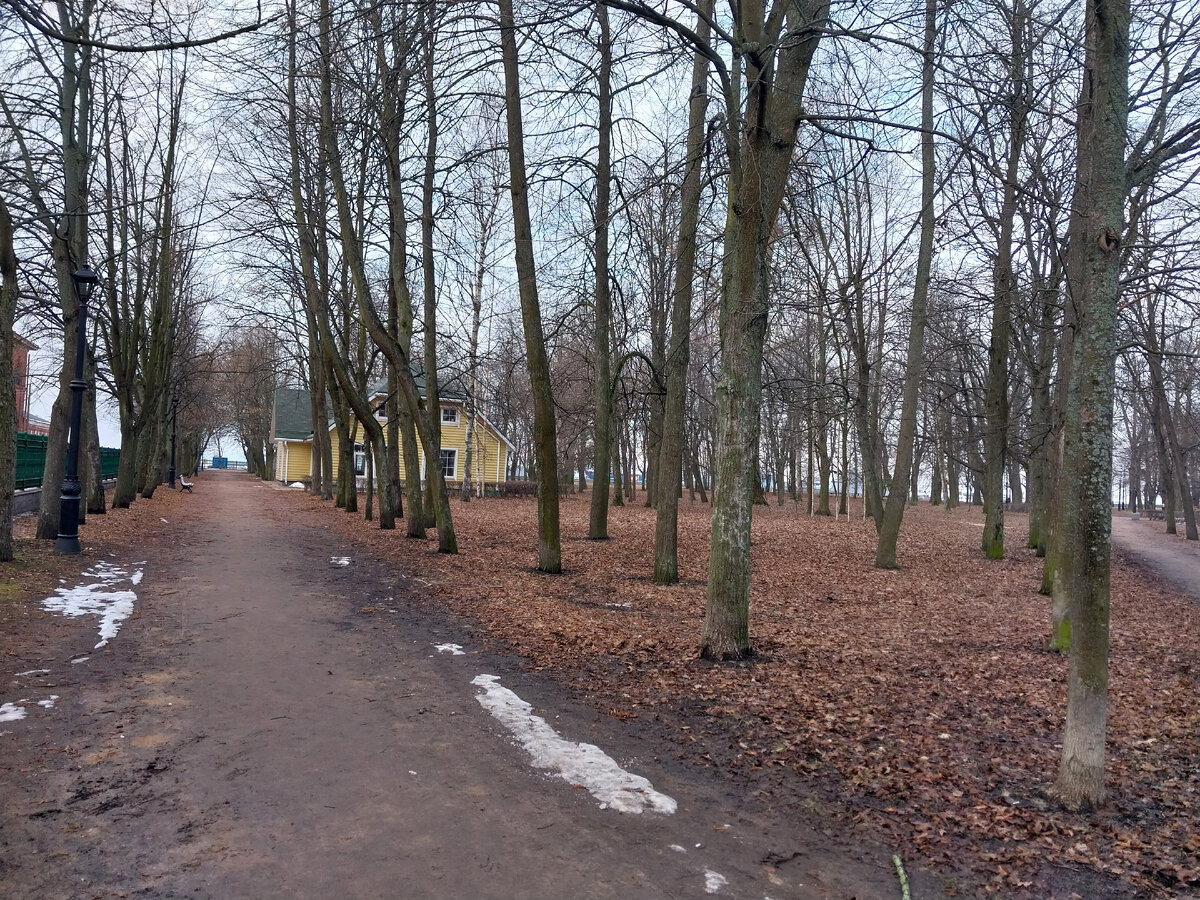 Боковая аллея Петровского парка. Примерно в этом месте и находился дворец Петра I (фото автора) 