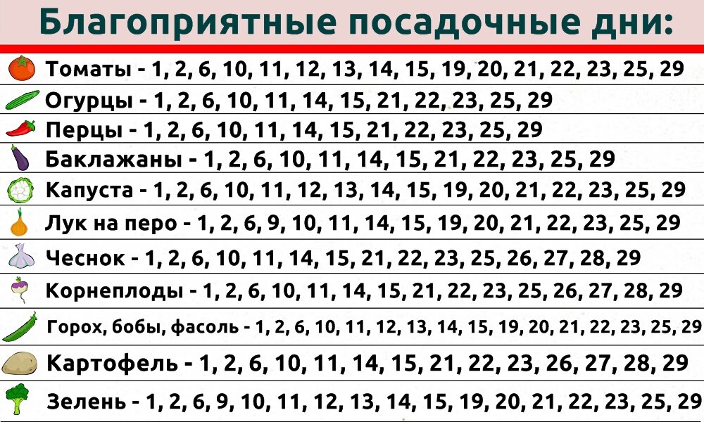 Гороскоп причесок на сентябрь рамблер - журнал 13malyshok.ru