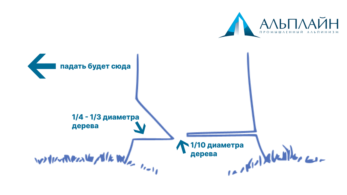 Схема пропилов