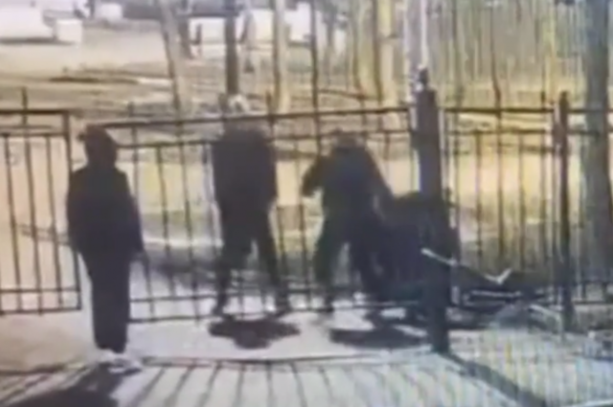    Школьники до смерти забили прохожего в саду Сан-Галли в Петербурге